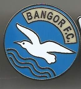 Pin Bangor FC